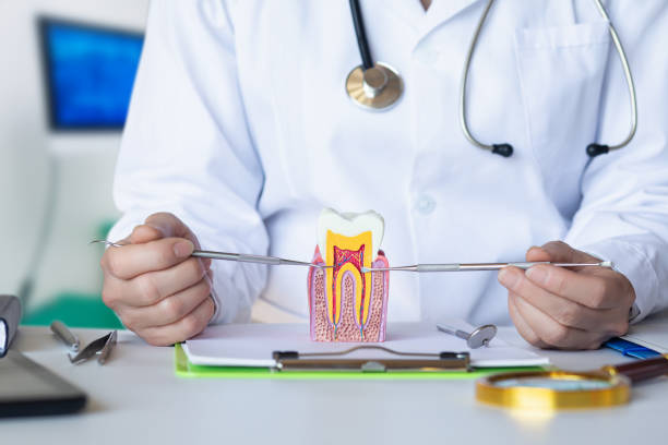 Best Emergency Root Canal Treatment in Kenbridge, VA